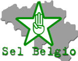 sel belgio